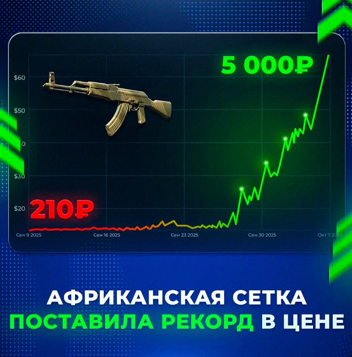 Скриншот 07-10-2025 165019.jpg